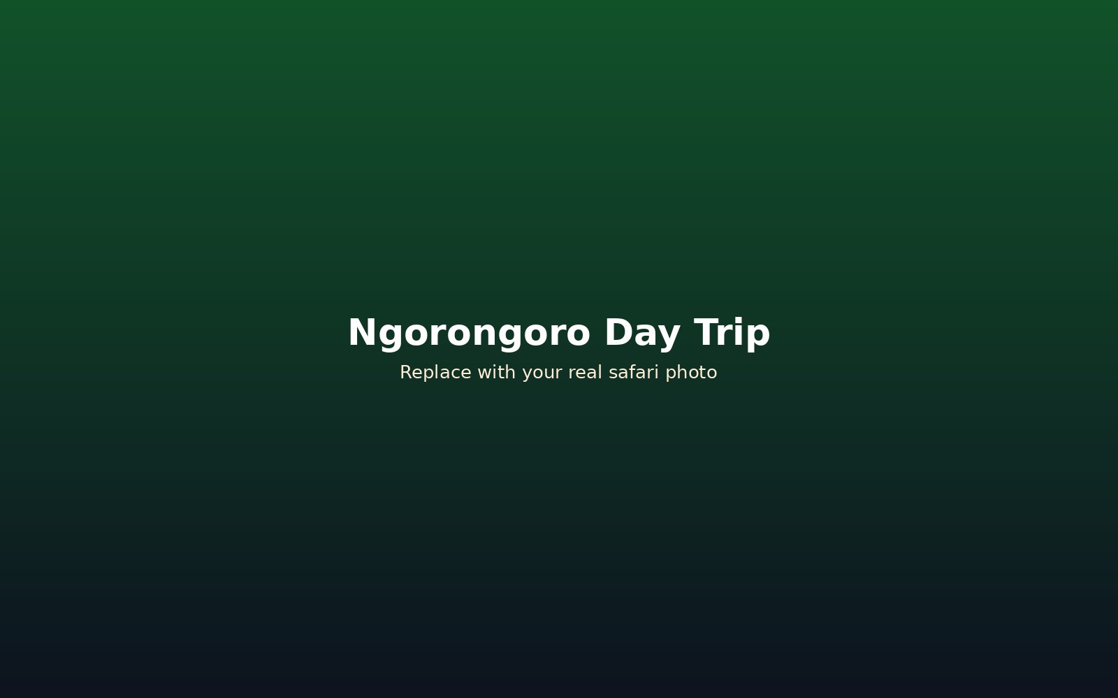 Ngorongoro Crater day trip