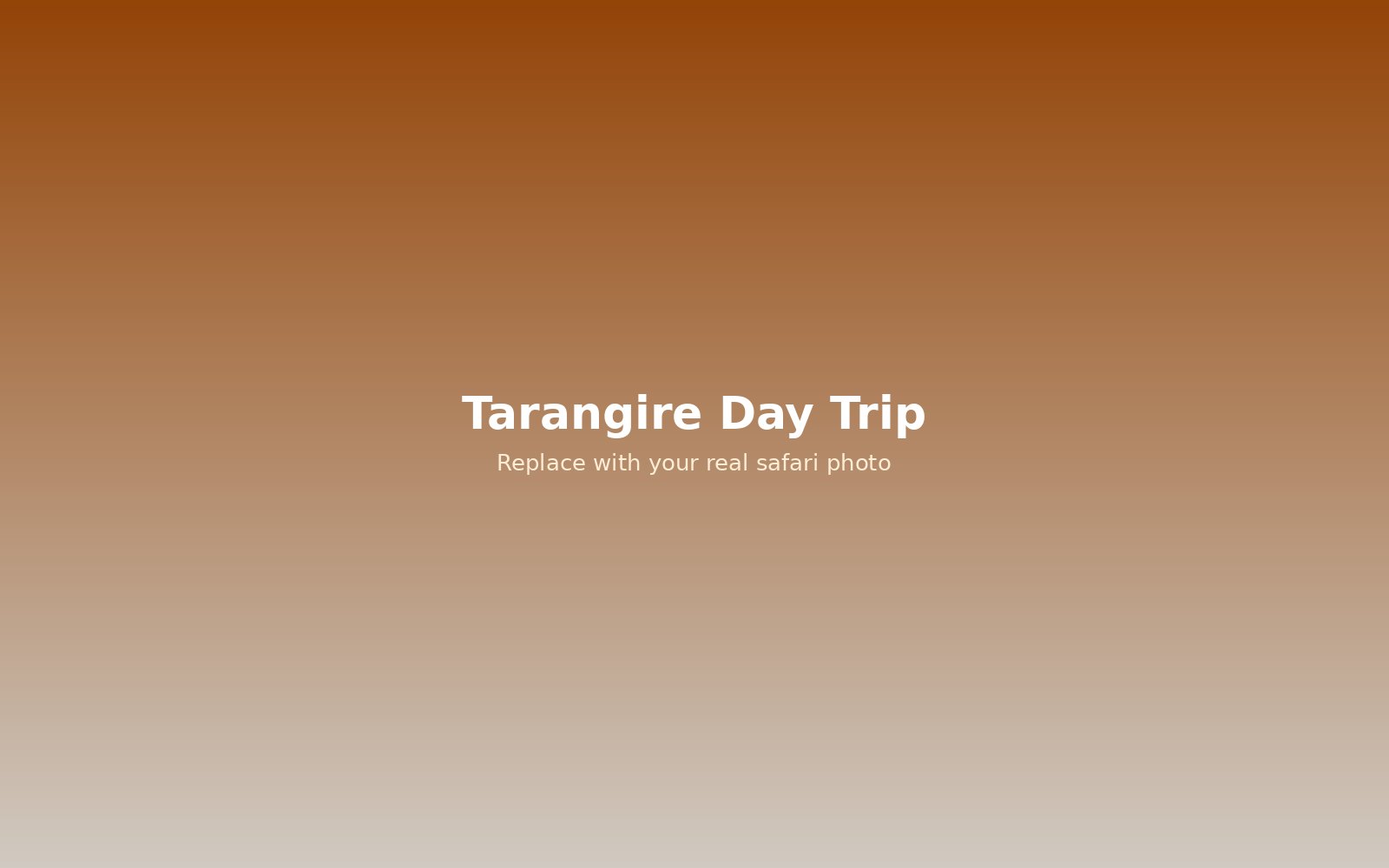 Tarangire day trip