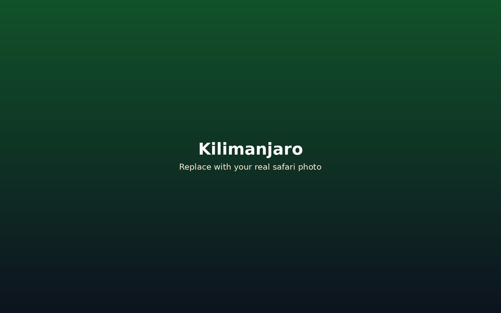 Mount Kilimanjaro