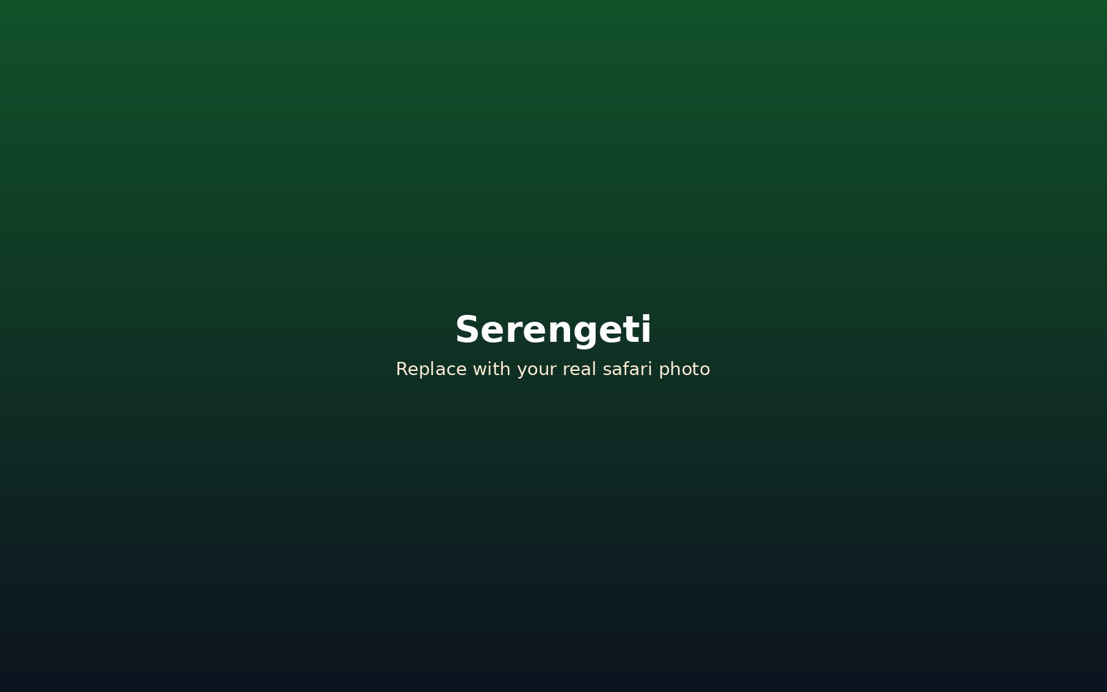 Serengeti National Park plains