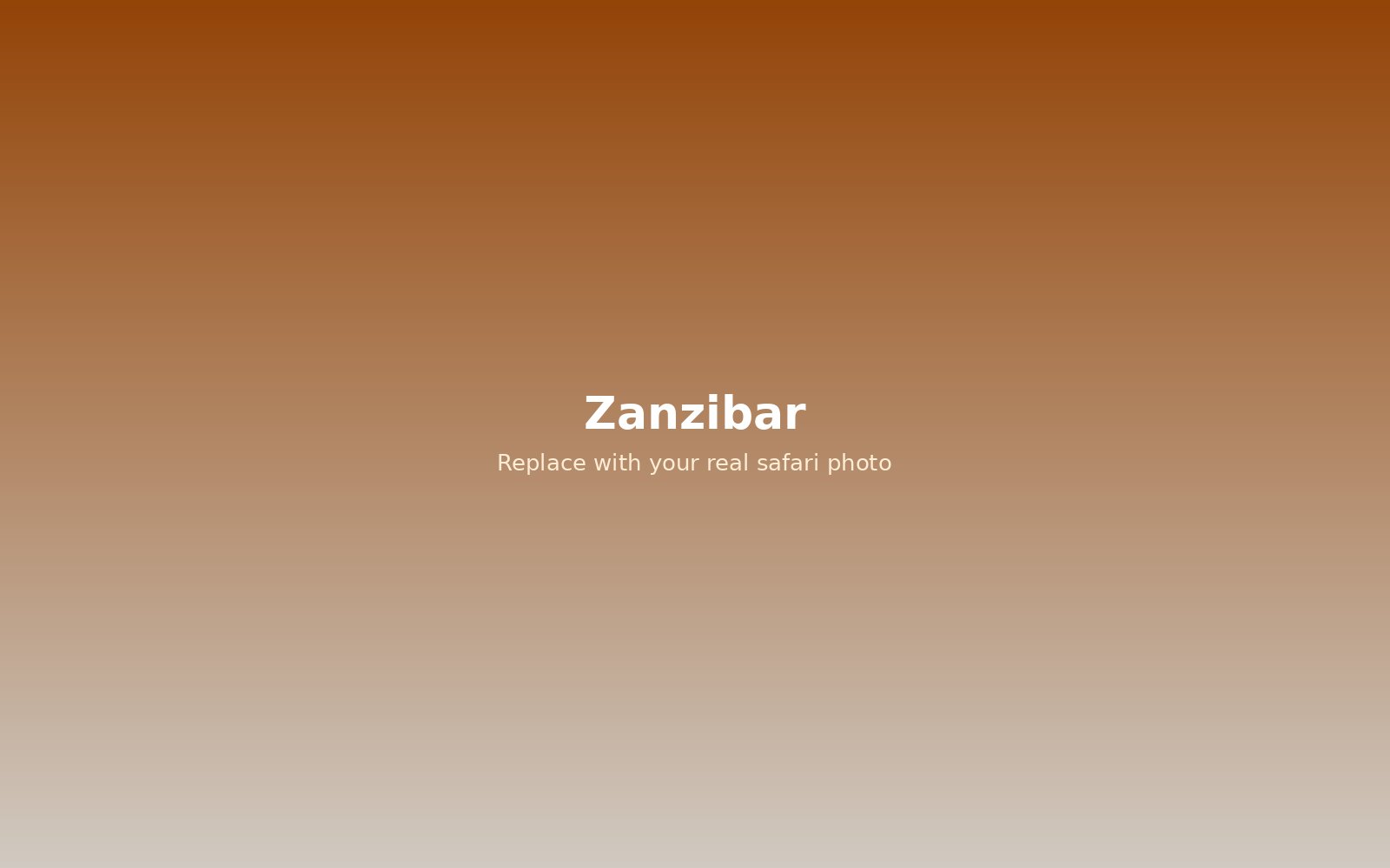 Zanzibar beach