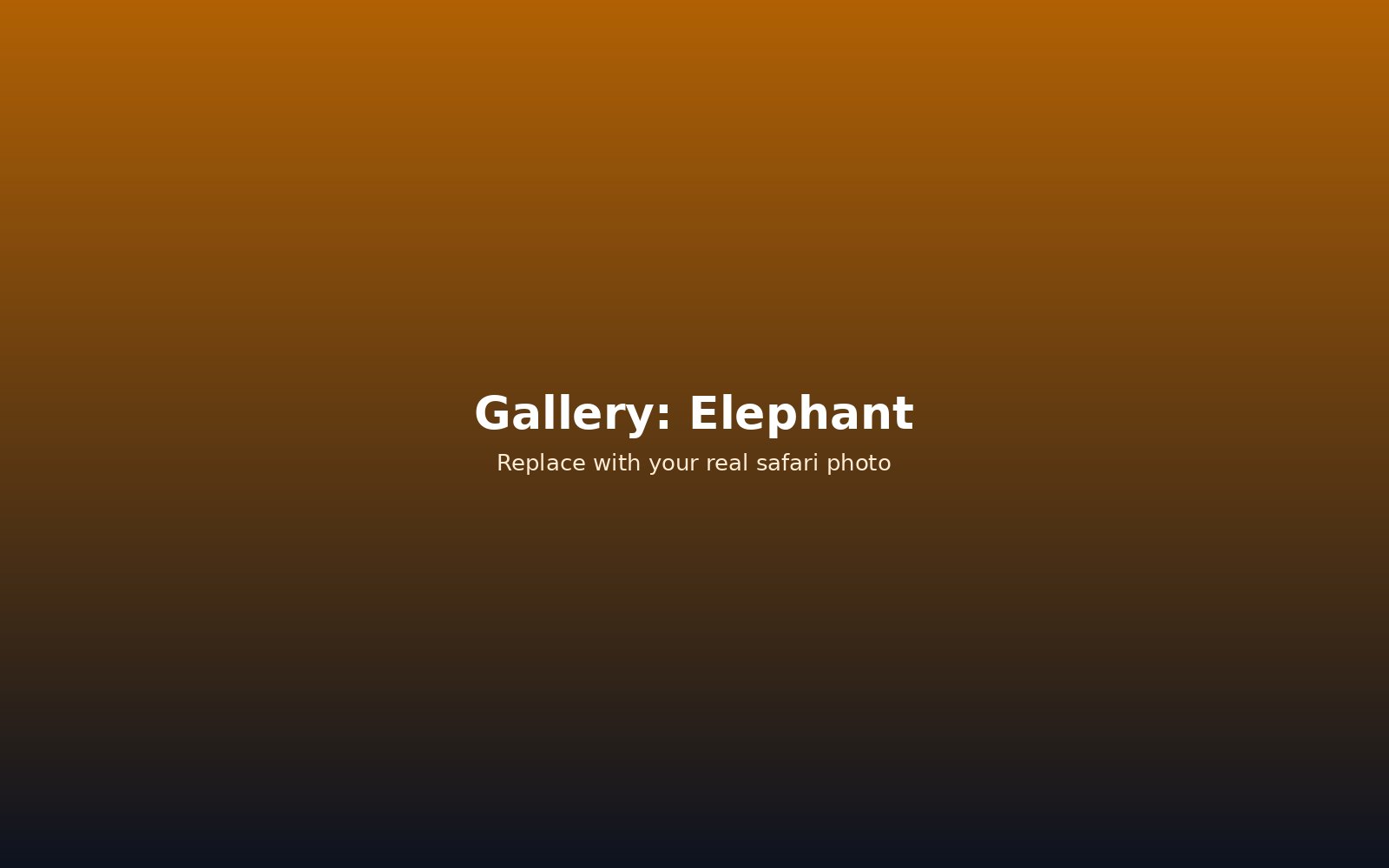 Elephants in Tarangire