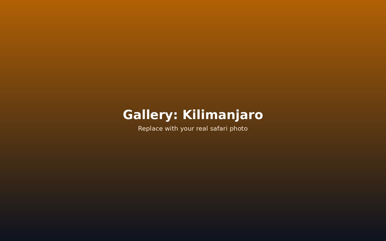 Mount Kilimanjaro