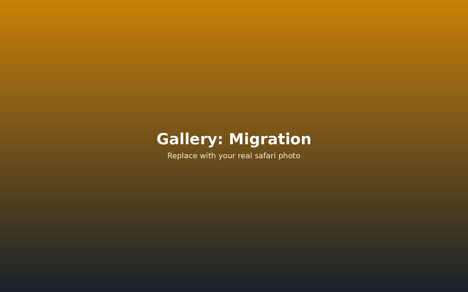 Wildebeest migration
