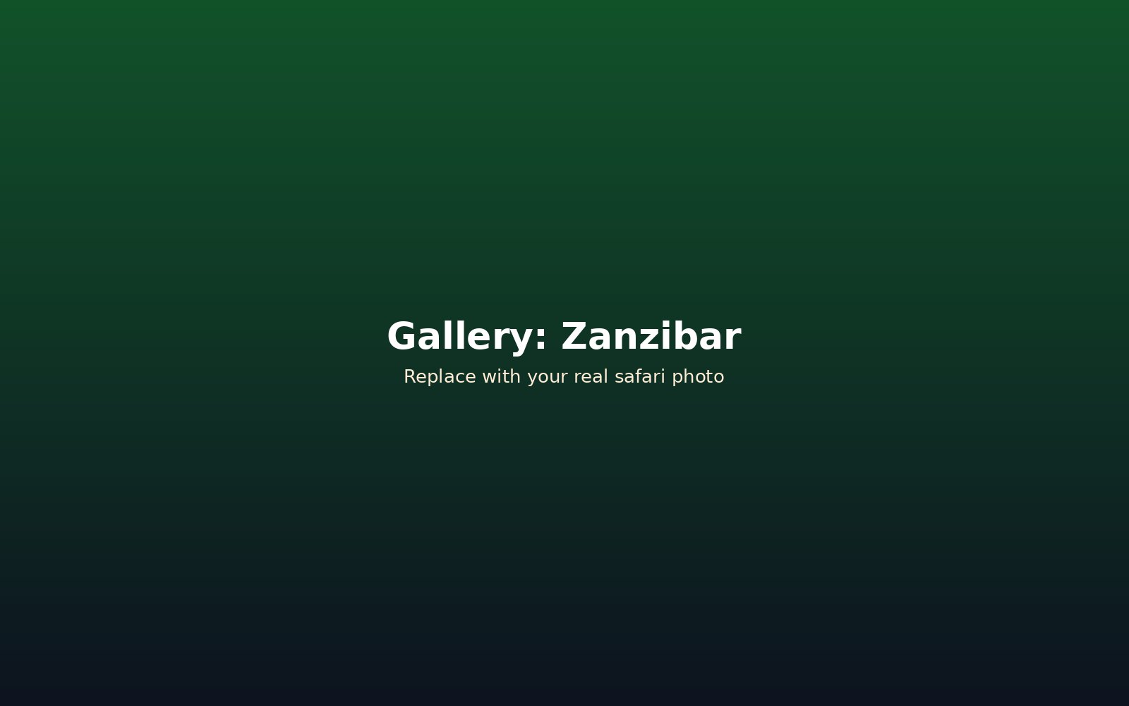Zanzibar beach