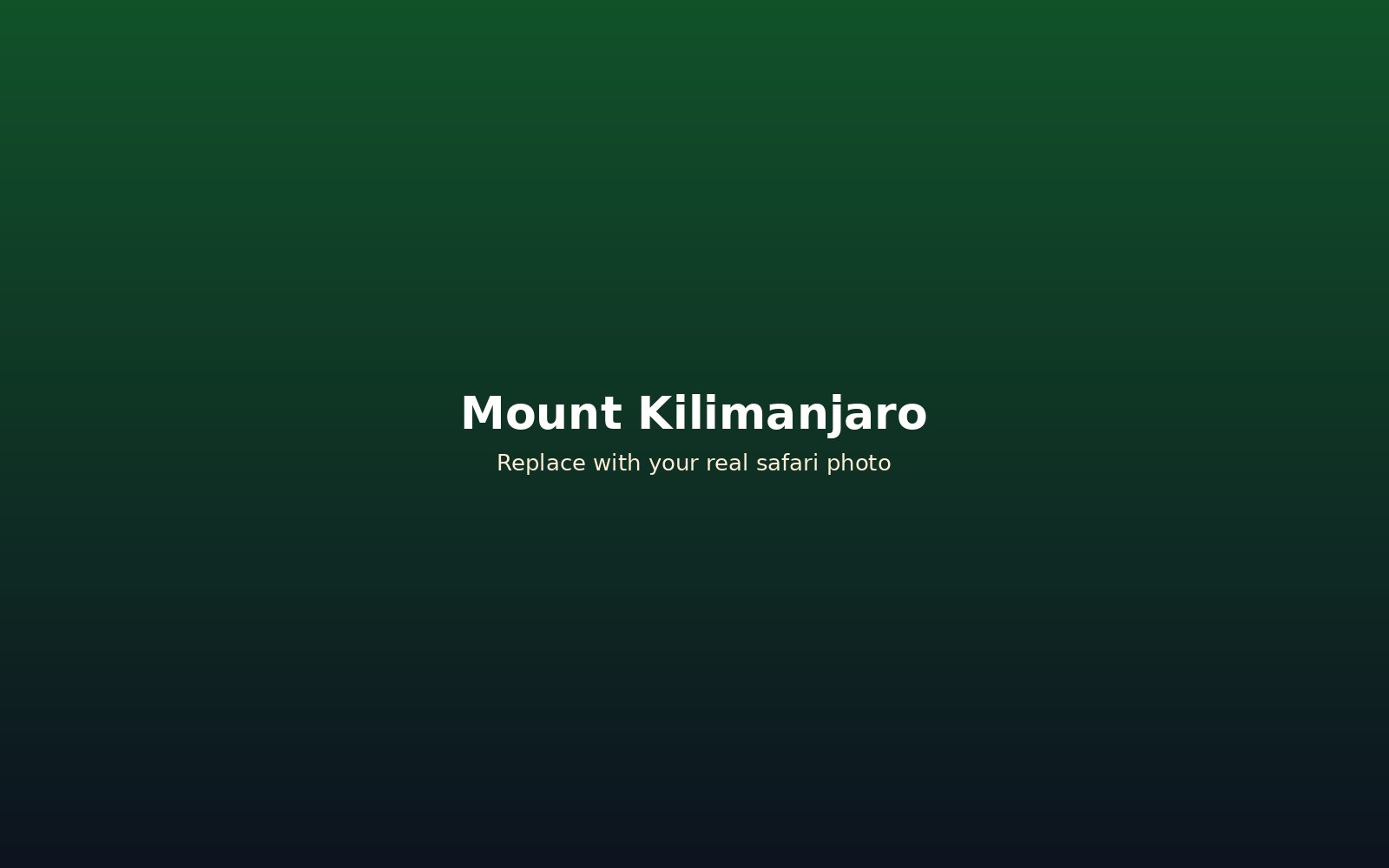 Mount Kilimanjaro view