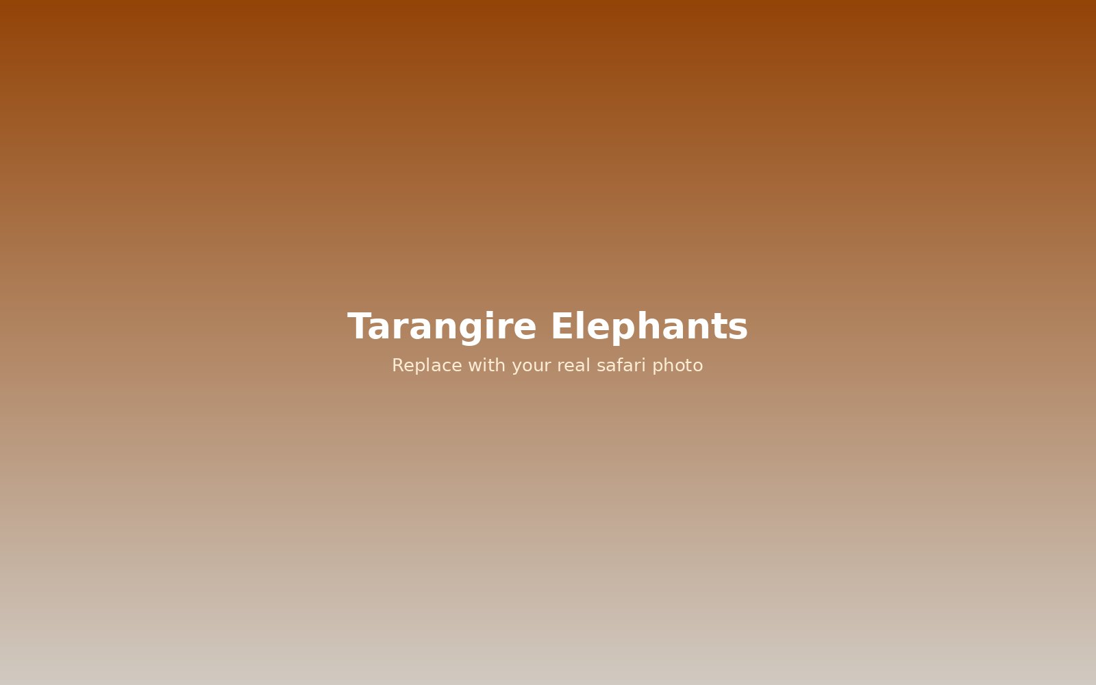 Elephants in Tarangire National Park