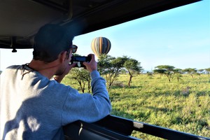 Safari