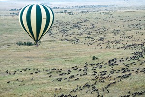 Balloon Safari