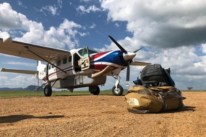 Bush plane