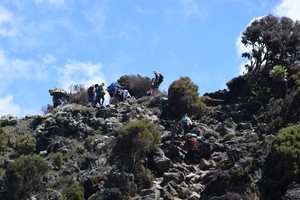 Kilimnjaro