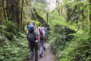 Kilimanjaro