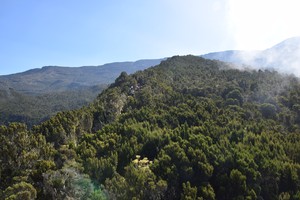Kilimanjaro