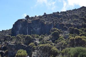 Kilimanjaro