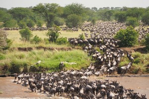 River Crossing