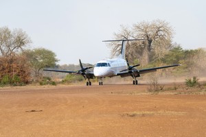 Bush plane