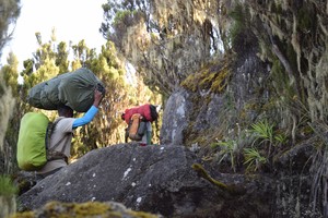 Kilimanjaro