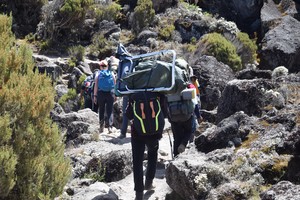 Kilimanjaro
