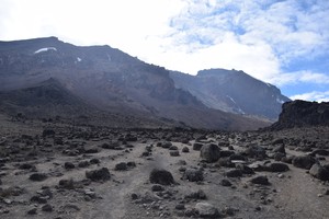 Kilimanjaro