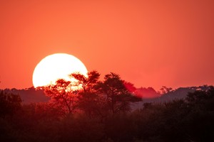 Sun Set