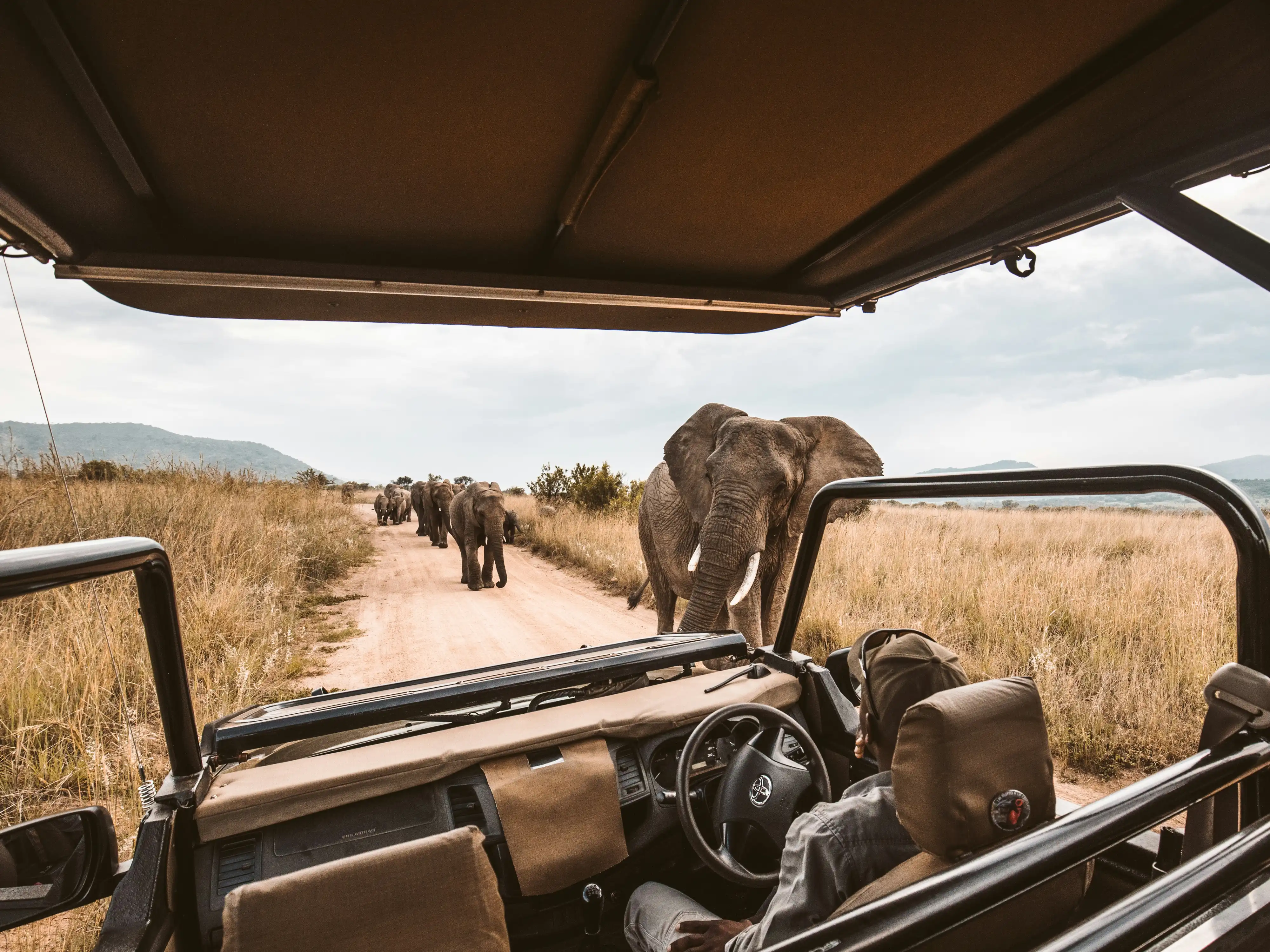 Group departure in Tanzania
