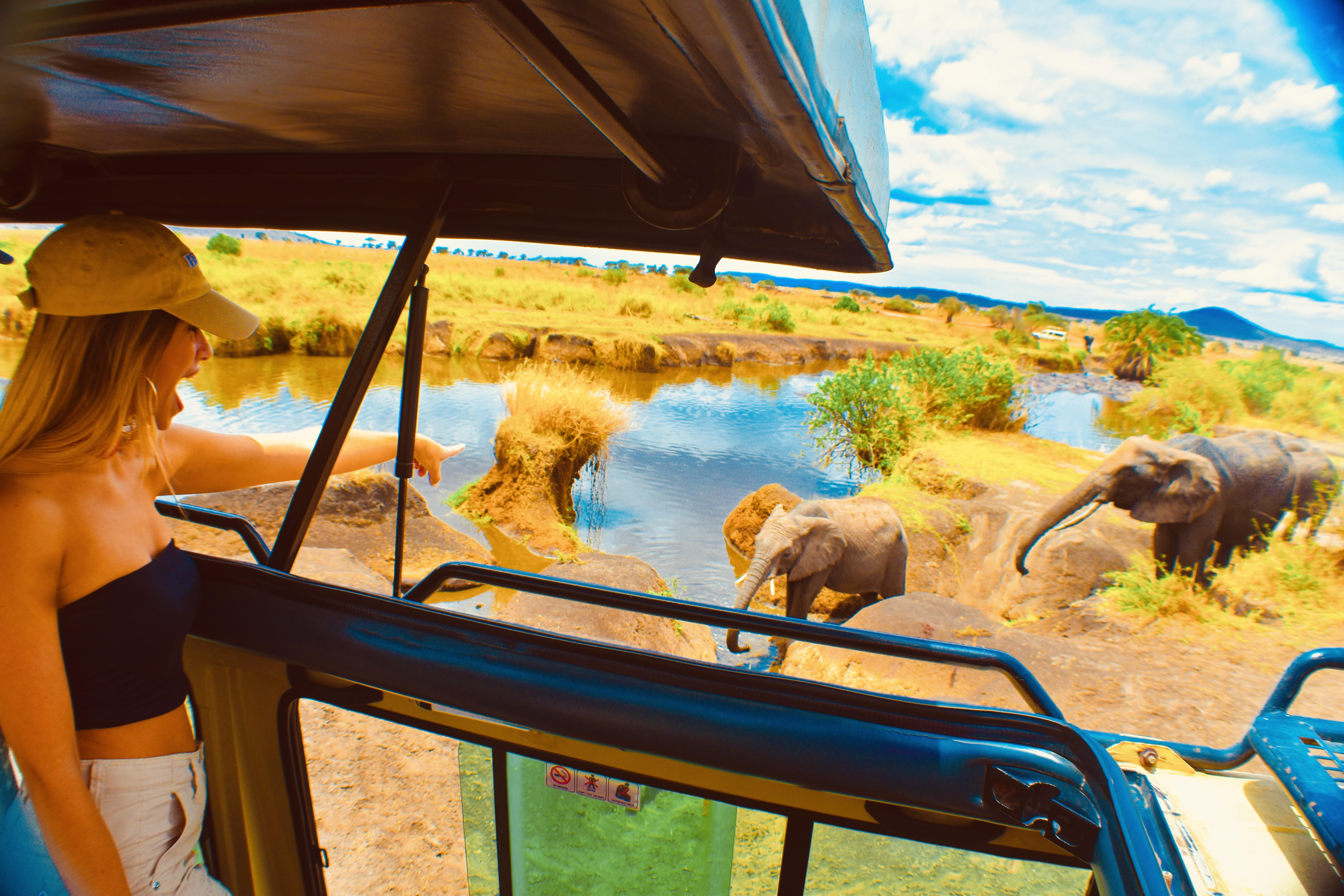Solo woman on safari at golden hour